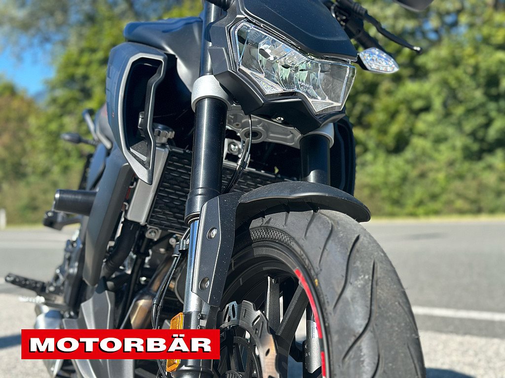 Neumotorrad Motobi Dl Naked Eur