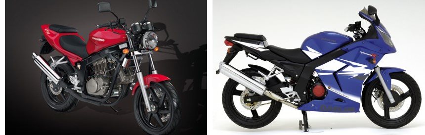 Motorrad Vergleich Hyosung Gt Naked Vs Daelim Roadwin R