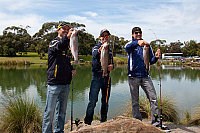 Edwards über Stoner