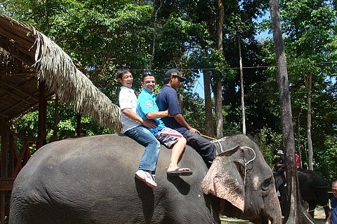 Capirossi reitet Elefanten: Beeindruckt von der Größe