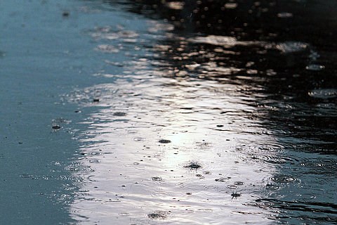 Erster Testtag in Jerez verregnet: Kein intensiver Fahrbetrieb