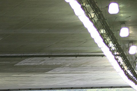 Japan würde bei Absage keinen Ersatz bekommen: Die Promoter entscheiden