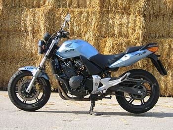 CBF 600 Zwischenbericht