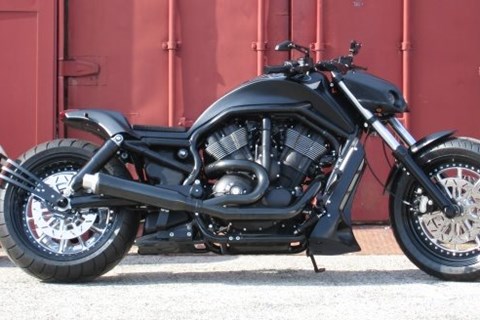 Fischers Black Beast