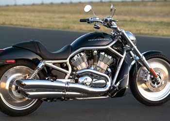 Harley V-Rod