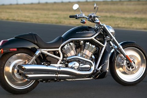 Harley V-Rod