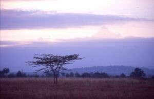 AFRIKA - "29 Wochen Reisefieber"