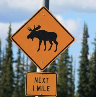 TourNordlicht Halbzeit