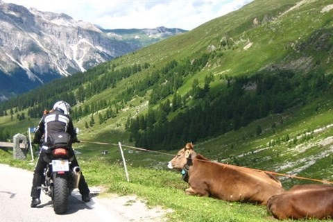 Mother 3Ländereck-Tour