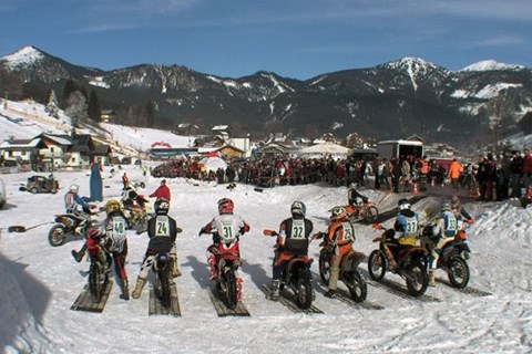 8. Biotech Wintercross