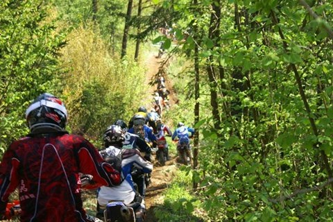 Enduro Trophy Griffen