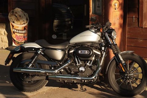 Harley Sportster Iron