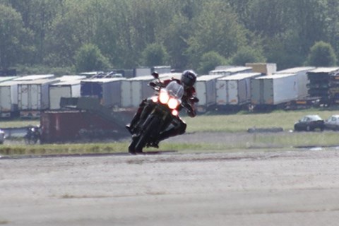 Neue Triumph gesichtet