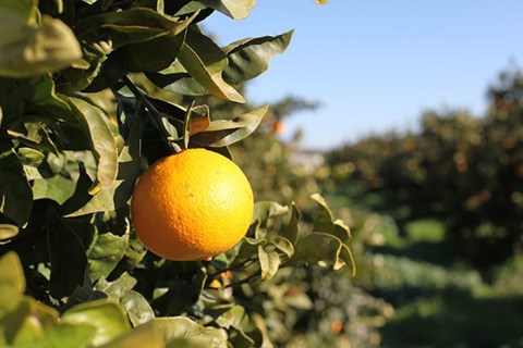 BMW Test Camp Almeria