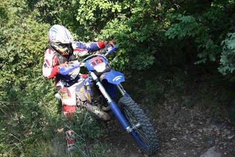 Crazy Job Donnerstag