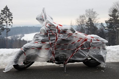 56. Elefantentreffen