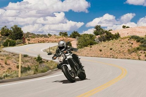 Yamaha FZ1&FZ1 Fazer