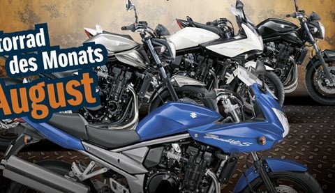 Bandit August Angebot