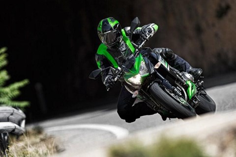 Kawasaki Green Parade