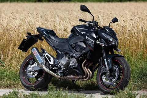 Remus Okami für Z800