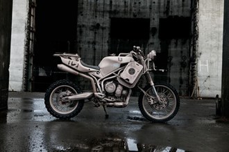 Triumph XC Dromedari Triumph XC Dromedari