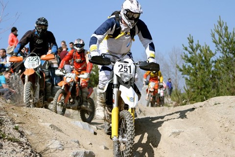 Granitbeisser light 14