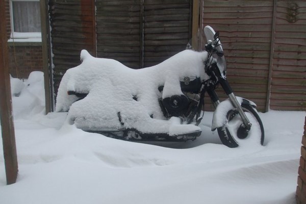 So wird richtig eingewintert