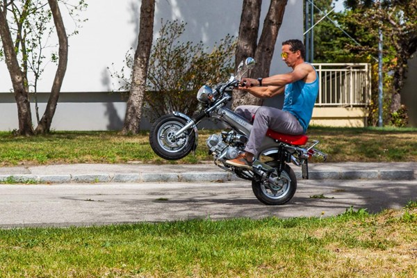 Skyteam Gorilla 125, Skymax 125 & PBR 50