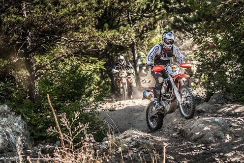 Crazy Job Bulgarien 2015 Montag