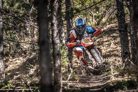 Crazy Job 2015 Tag 3