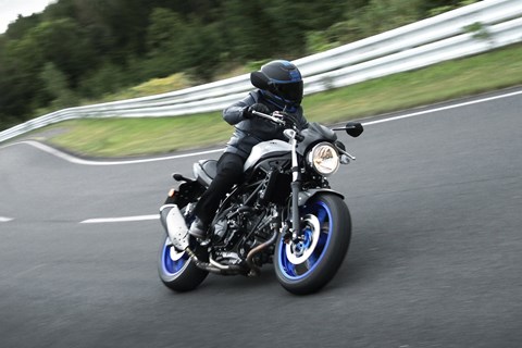 Suzuki SV 650 2016