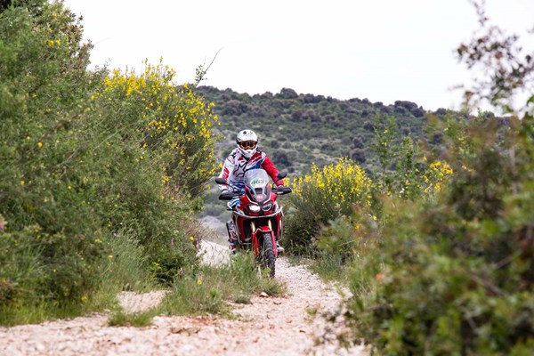 Africa Twin Doppelsieg