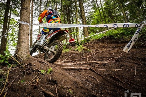 Endurofahren über Wurzeln