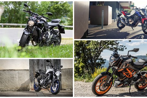 Allroundtalente für den Einstieg