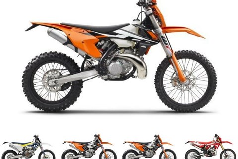 Top 5: Die besten Hardenduros für erfahrene Enduristen