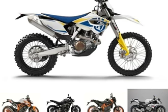 Top 5: Wheelie-Tiere Top 5: Wheelie-Tiere