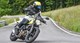 Ilmberger Carbon 2017 - Ducati Scrambler Icon