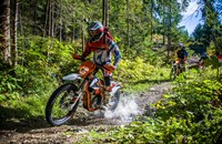 KTM Freeride 250 F
