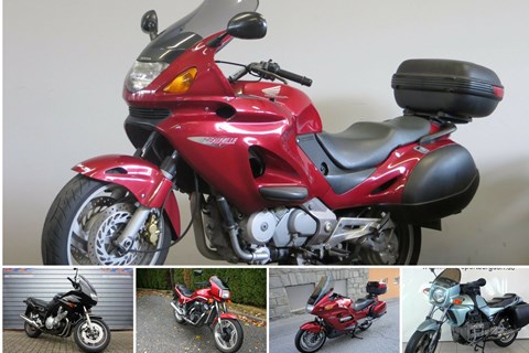 Top 5: Robuste Winterschlampen um wenig Geld