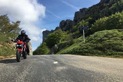 Zwischen Oliven, Wein und Lavendel