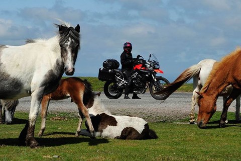 Auf Entdecker-Tour bis Land’s End