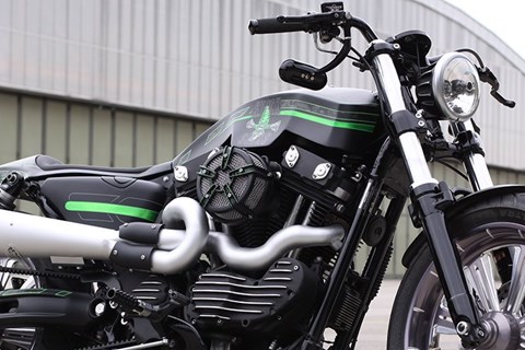 Stock Sucks - Custom Harley Sportster