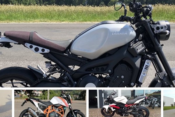 Top 5: schnelle Bikes zum guten Preis