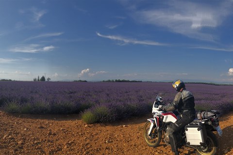 Die Lila Laune: Mit dem Motorrad in den Süden Frankreichs