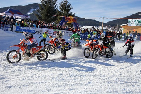 Das 7. Holzknecht-Skijöring in Gosau war ein riesiger Erfolg