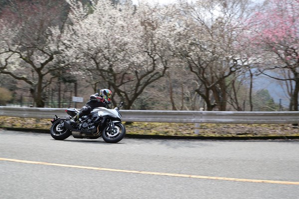 Suzuki GSX-S1000S Katana 2019 Test, Preis, Fazit