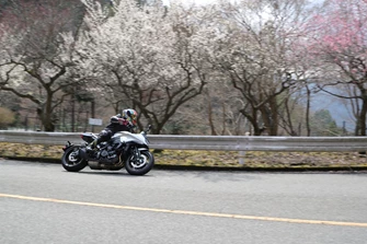 Suzuki GSX-S1000S Katana 2019 Test, Preis, Fazit Suzuki GSX-S1000S Katana 2019 Test, Preis, Fazit