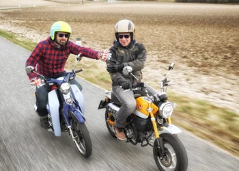 Honda Monkey 125 vs. Super CUB 125 2019 Honda Monkey 125 vs. Super CUB 125 2019