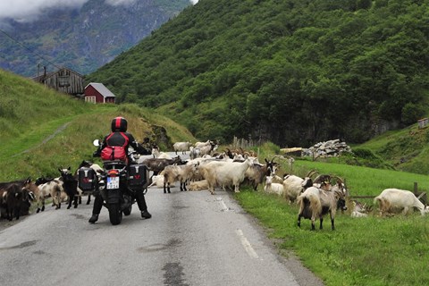 Motorrad-Touren unter 1000 Euro