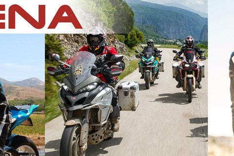 Welches "Sena" passt zu dir?